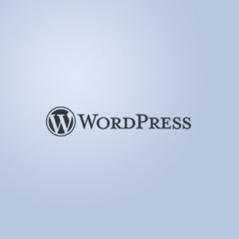 WordPress 开发文档